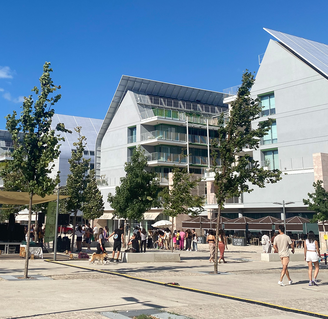 了解普拉塔河畔村发生的一切