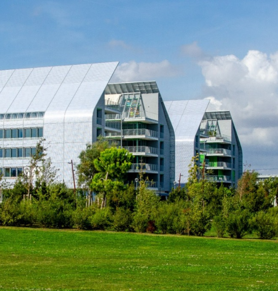 Visit the development