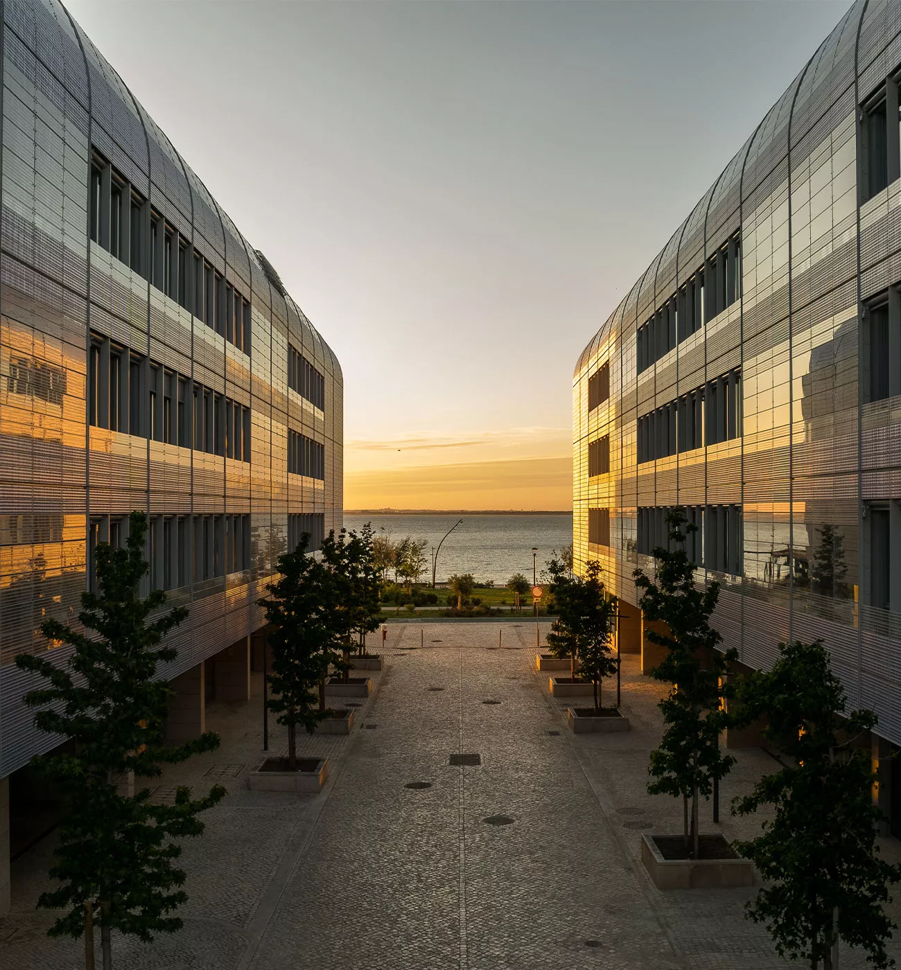 O melhor nascer do sol da cidade