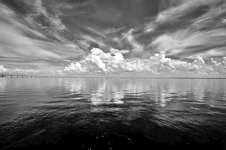 Und direkt hier am Tejo!